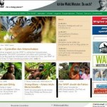 Der Panda geht in Deckung: WWF-Krisenkommunikation läuft nur langsam an.