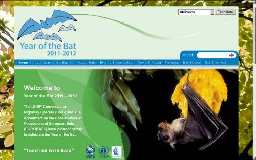 Year_of_the_Bat_2011
